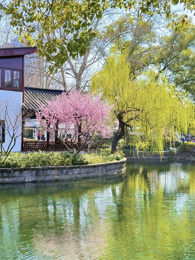 藏身於市區的小眾賞花勝地，人少花多超好拍！
