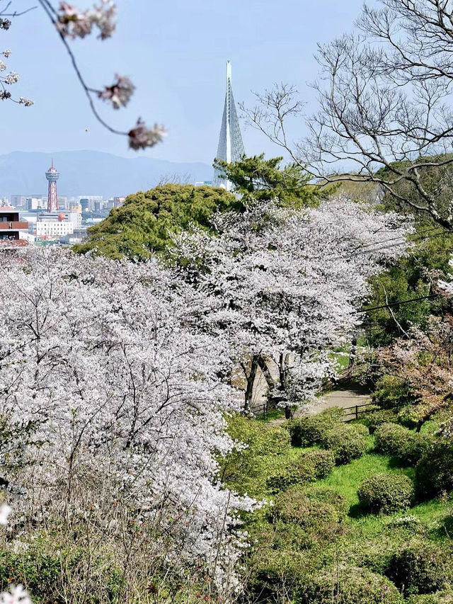 四季流轉，靜觀城市之巔——西公園與大濠公園