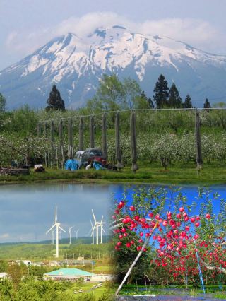 Forget Hokkaido! Aomori is a Hidden Gem