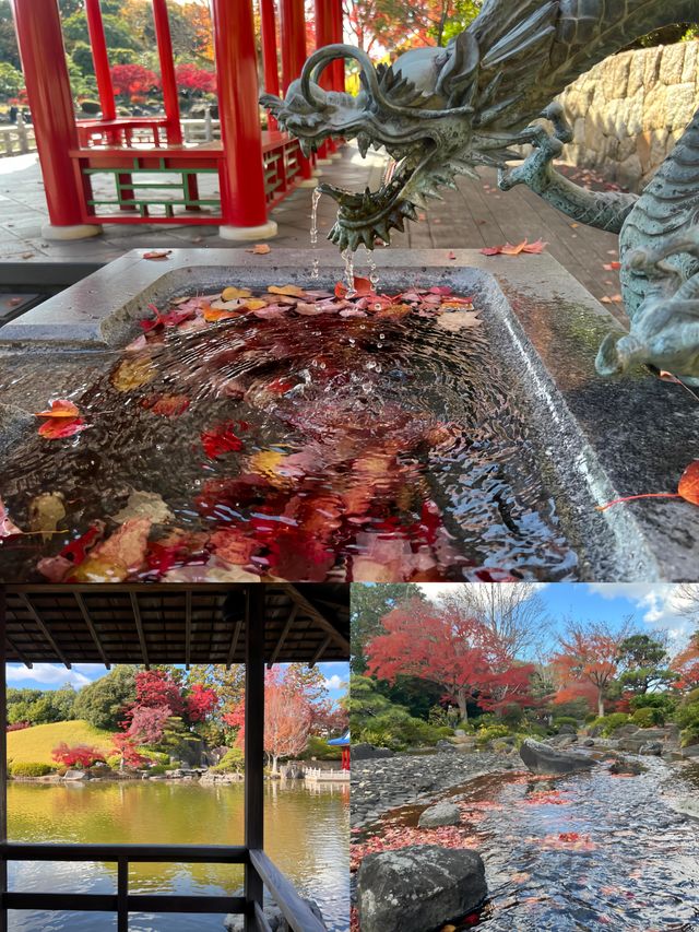 日本堺市大仙公園，超寶藏的小眾打卡地
