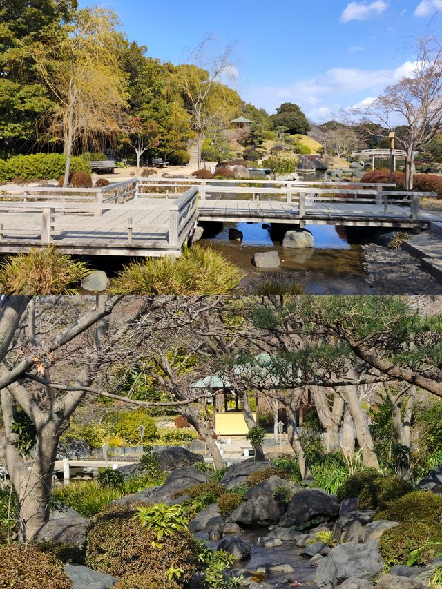 日本堺市大仙公園，超寶藏的小眾打卡地