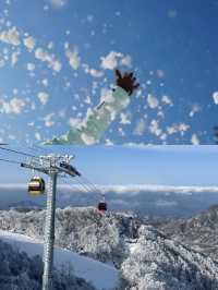 中原玩雪、冬日狂歡，解鎖家門口嘅冰雪奇緣 