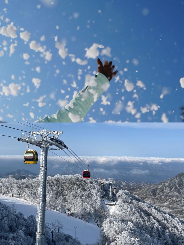 中原玩雪、冬日狂歡，解鎖家門口嘅冰雪奇緣 