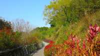 千家山生態公園