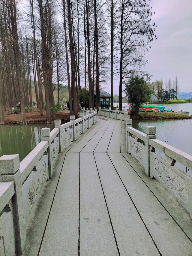 春日來信|鼋頭渚賞櫻樓的限定浪漫 春日來信|鼋頭渚賞櫻樓的限定浪漫