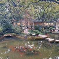2025好去處｜人好少，春遊重慶渝中區鵝嶺公園，很舒服嘛