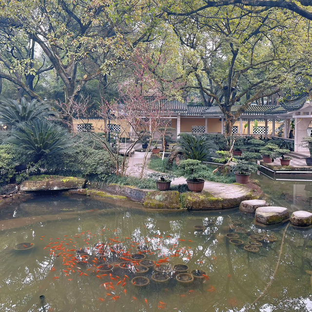 2025好去處｜人好少，春遊重慶渝中區鵝嶺公園，很舒服嘛