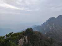 藍田王順山森林公園|秦嶺“小黃山”
