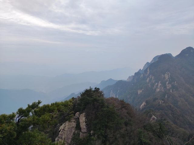 藍田王順山森林公園|秦嶺“小黃山”