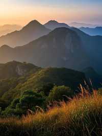 高州三官山奇幻之旅，一睇就明！