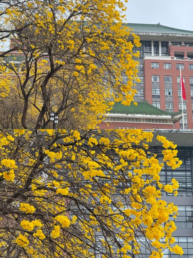 華南農業大學濕地公園遊玩攻略