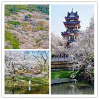 最美無錫獨遊女生攻略｜一場說走就走的旅行