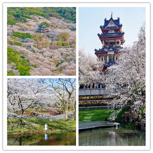最美無錫獨遊女生攻略｜一場說走就走的旅行