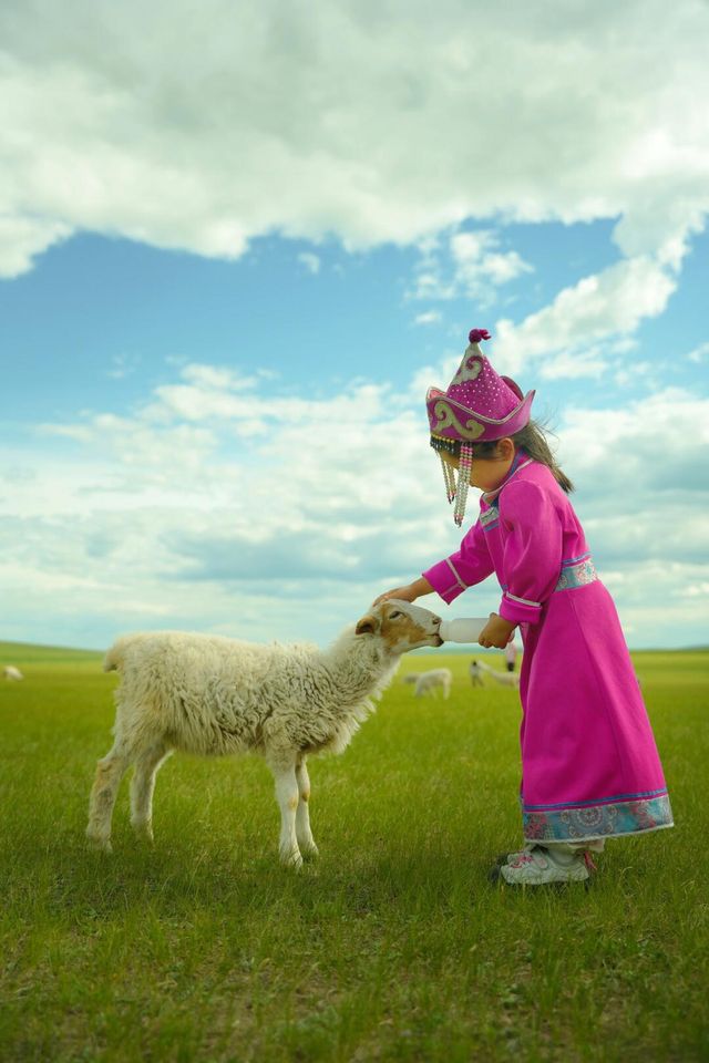 草原親子遊｜呼倫貝爾旅遊攻略