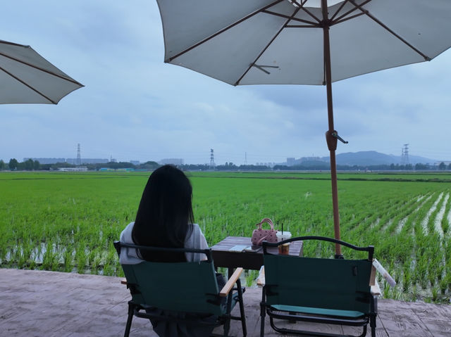 ✨中山隱藏版田園咖啡秘境！偽出國感直接拉滿☕️