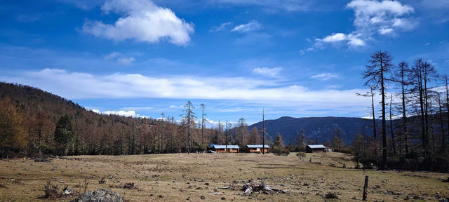 哈巴雪山杜鵑花季及露營體驗
