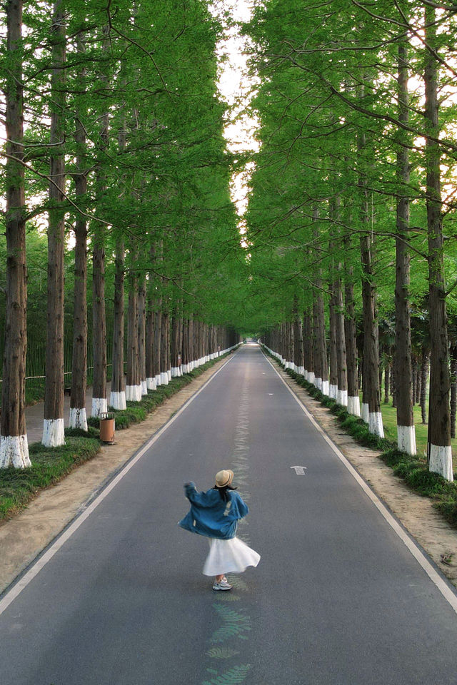 我在鹽城，找到宮崎駿的童話森林