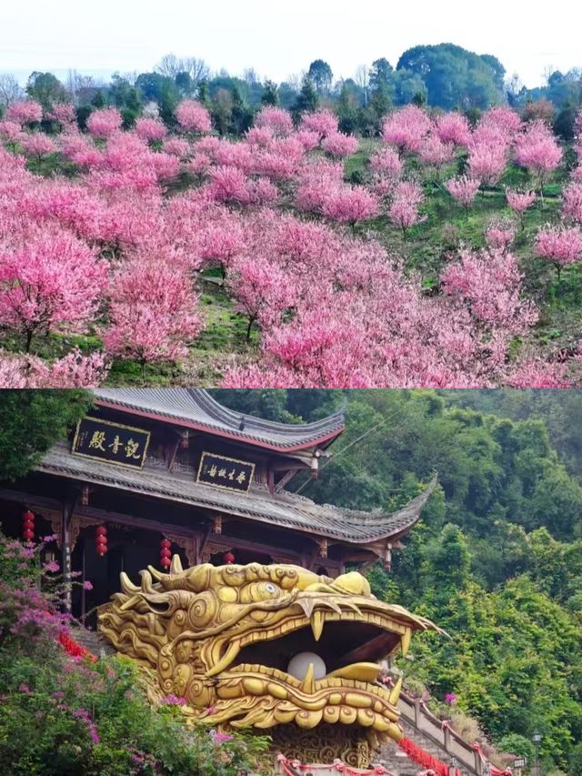 瀘州已回，能勸一個是一個。