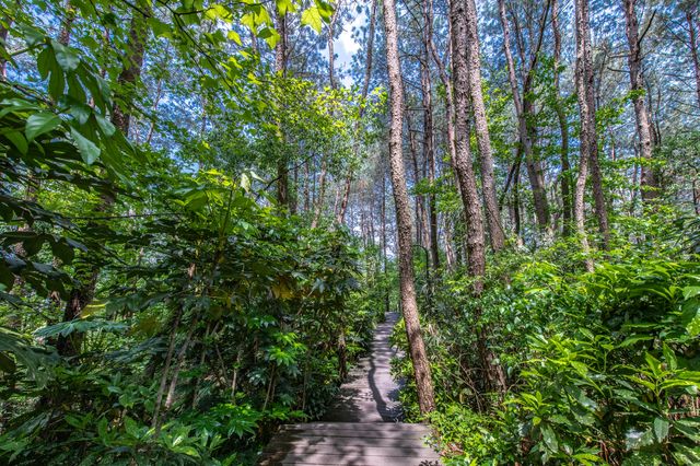 屯溪稽靈山：黃山市區不多見的原生態公園，森呼吸的絕佳去處！