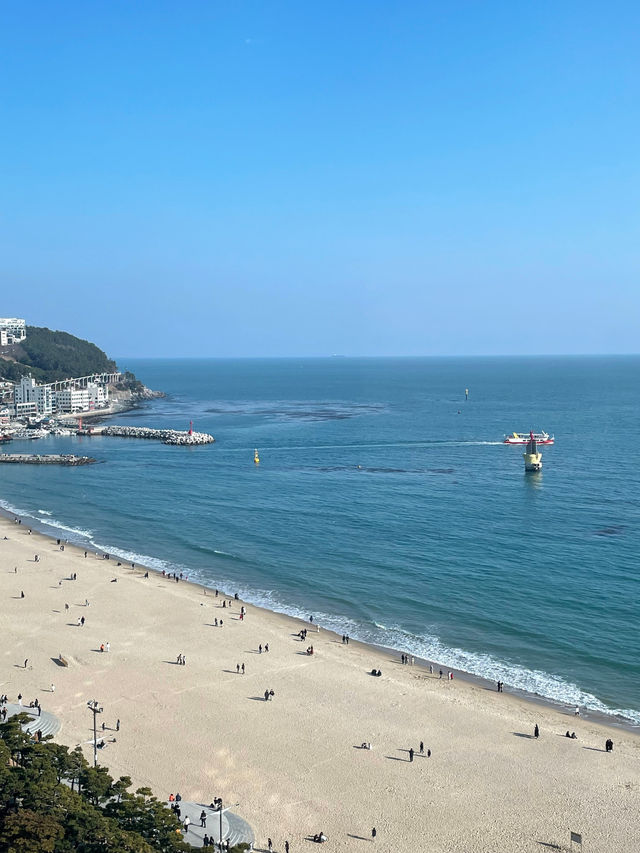 釜山海邊度假酒店Grand Josun Busan 酒店：Grand Josun Busan 