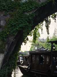 Wuzhen Xizha Scenic Area 🛶🌳🇨🇳