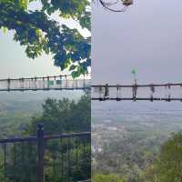 九真山天然氧吧