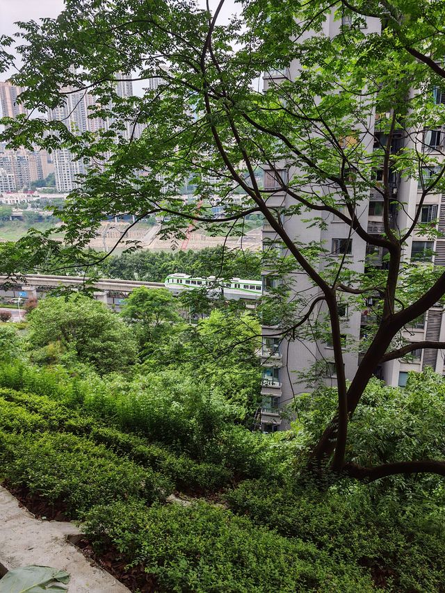 我在五一實現錯峰遊重慶，魔幻之旅全攻略