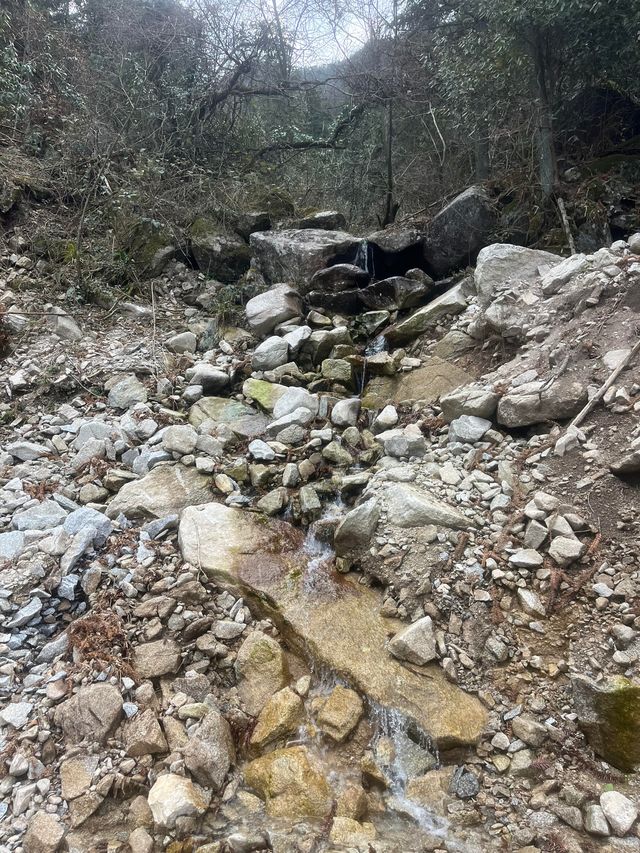 咸寧黃龍山