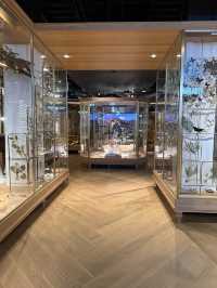 Taiwan Museum Taipei, A Cheap Yet Fascinating Place For The Whole Family 