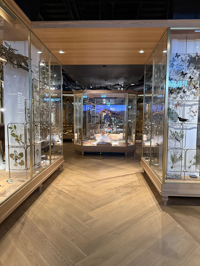 Taiwan Museum Taipei, A Cheap Yet Fascinating Place For The Whole Family 