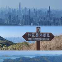 探秘紅花嶺！深港邊境25號郊野公園，歷史遺跡與山海絕景