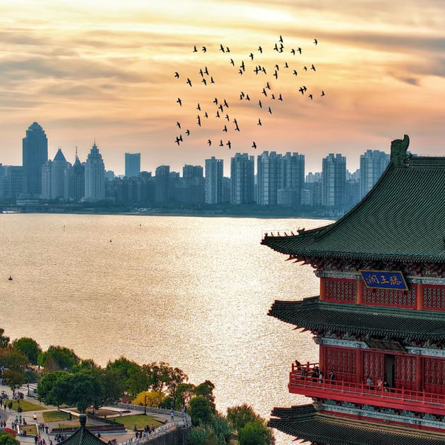 夜遊滕王閣攻略🌉登樓後真的太美了！！