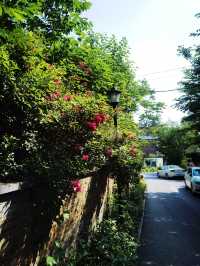 武漢人都唔知嘅文藝小城——東湖大李村