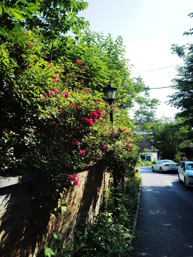 武漢人都唔知嘅文藝小城——東湖大李村