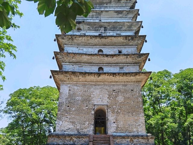 樂山大佛｜千年佛顏臨江瞰世，深度遊玩全攻略
