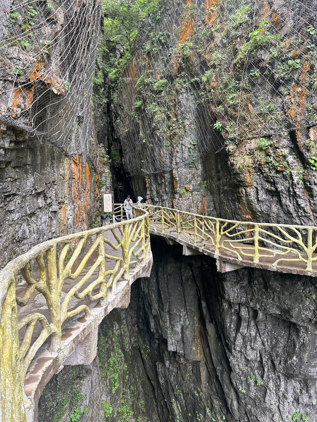 張家界探秘之旅：天門山與森林公園的極致體驗