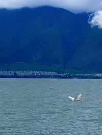 洱海之畔，一生必住一次嘅雙廊民族風海景民宿