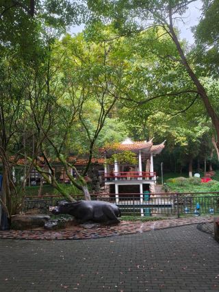 【Zheshan Secret Realm | In the Folds of Wuhu, Encountering Millennia of Time】