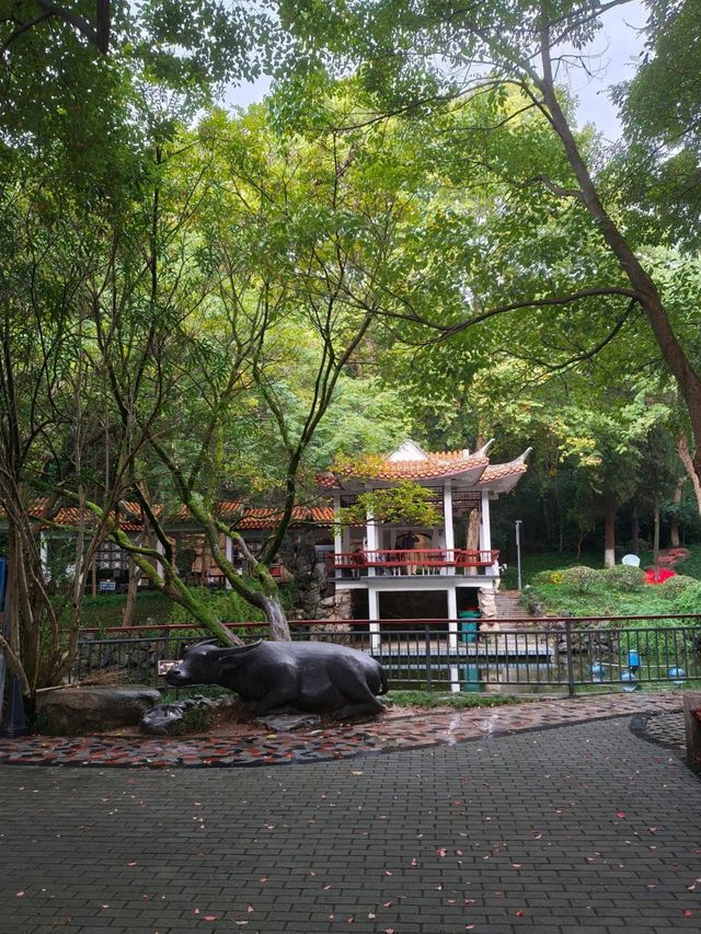【赭山秘境｜喺蕪湖嘅皺褶裡，邂逅千年時光】