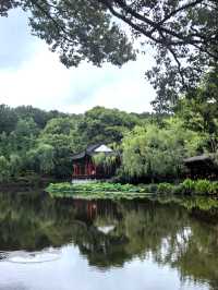 住進西湖畫裡係咩體驗？