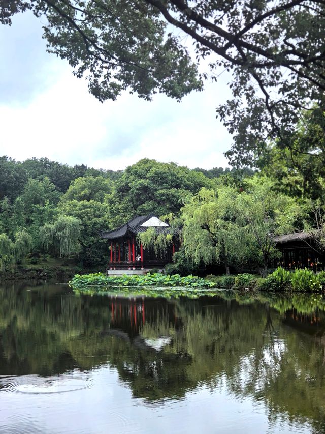 住進西湖畫裡係咩體驗？
