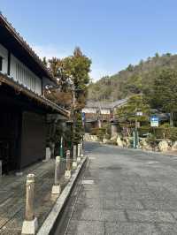 Adventures in Arashiyama 