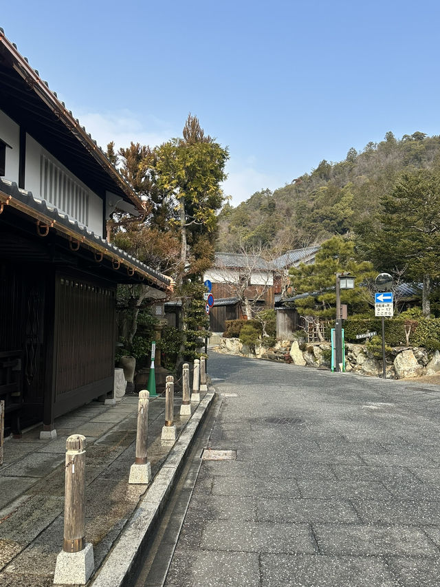 Adventures in Arashiyama 