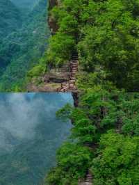 齊雲山已回，講啲難聽嘅大實話
