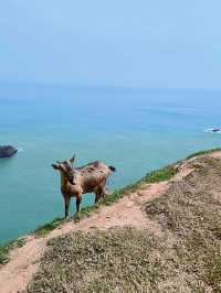 四礵列島 | 福建嘅「薩爾達」海拉魯大陸