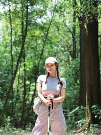白雲山又新增行山好去處六榕小徑