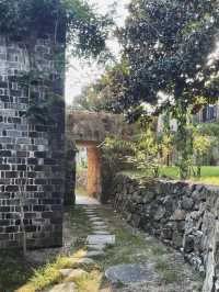 隱手竹海，重拾年少記憶｜南京花跡無想山居