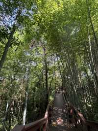 奔赴一場山水之旅，解鎖大自然奧秘