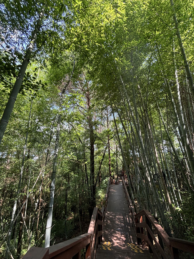 奔赴一場山水之旅，解鎖大自然奧秘