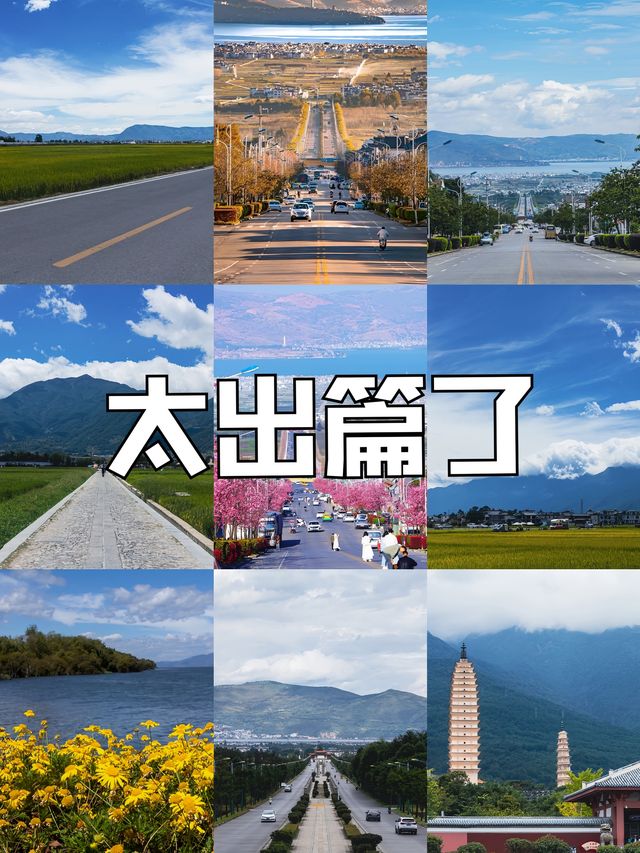 【蒼洱大道